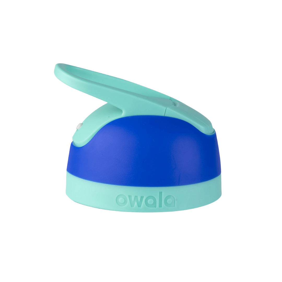 Replacement Lids (6N8J)