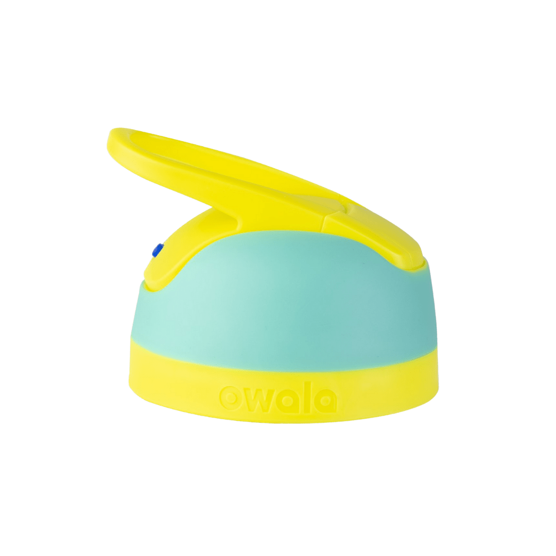 Replacement Lids (6N8J)