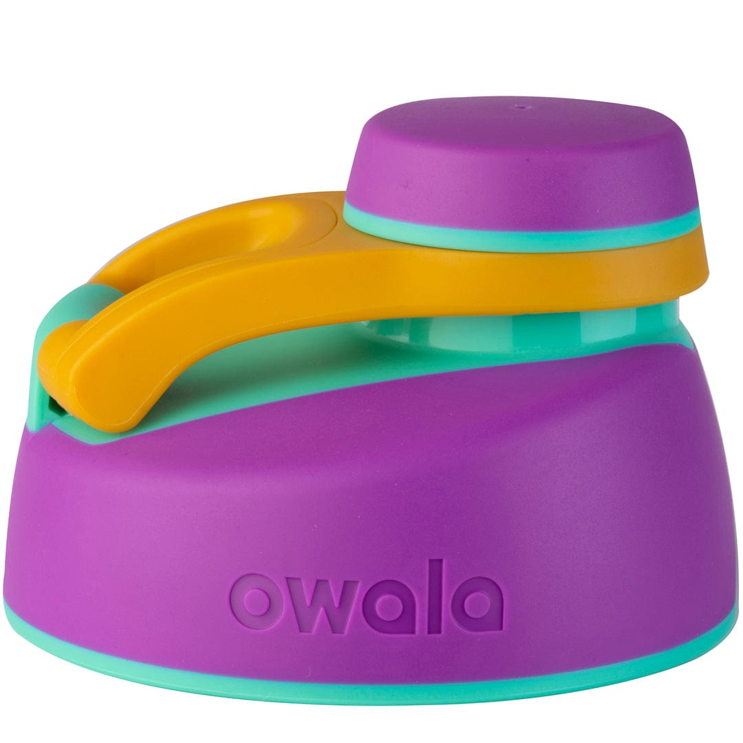 Replacement Lids (6N8J)