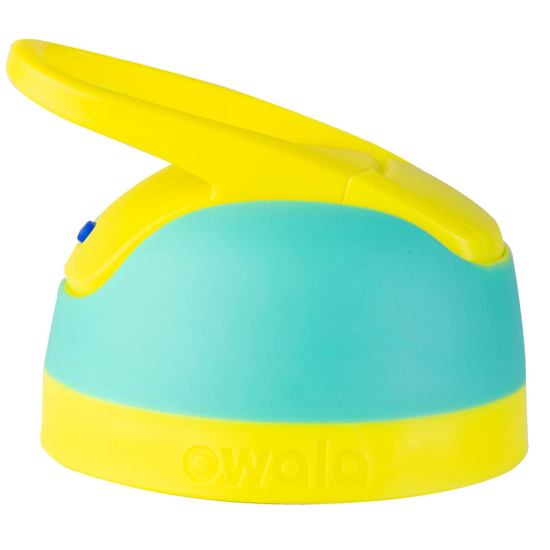 Replacement Lids (6N8J)
