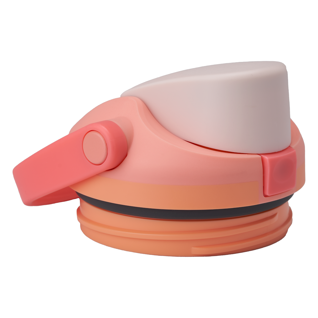 Replacement Lids (6N8J)