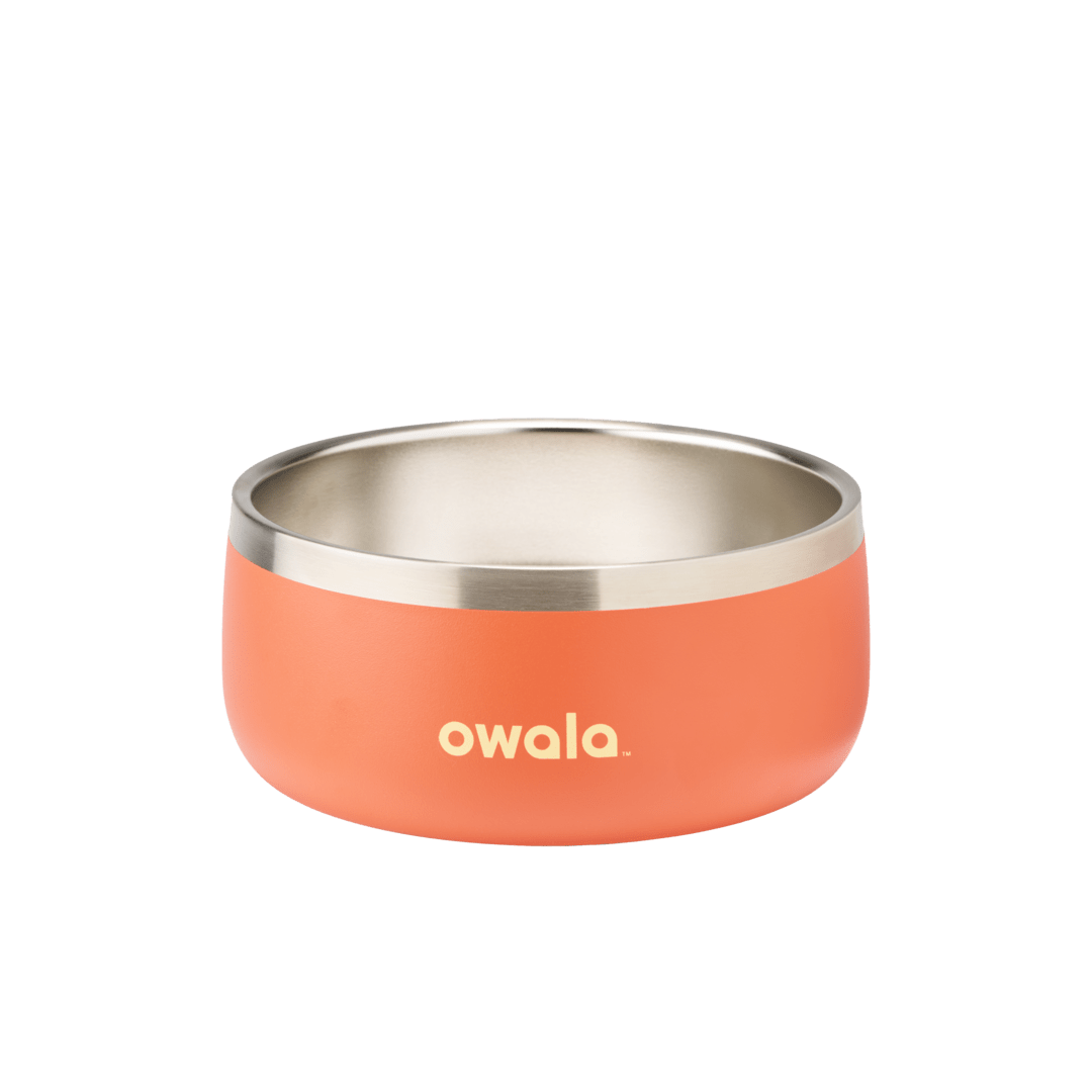 Pet Bowl (4W25)