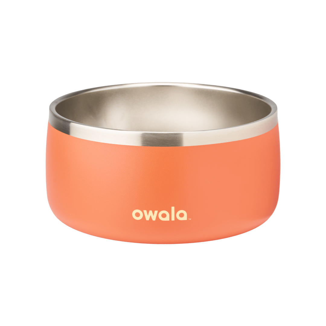 Pet Bowl (4W25)