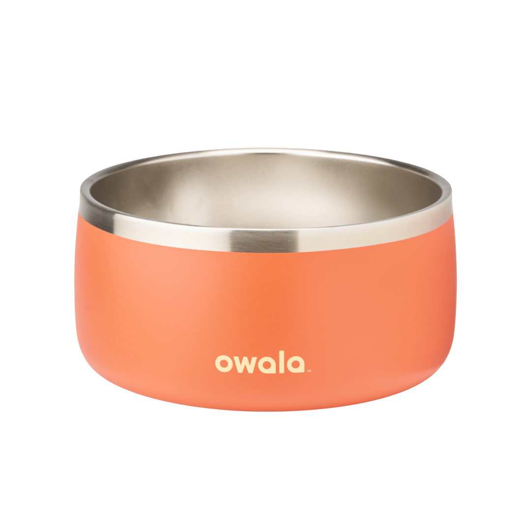 Pet Bowl (4W25)