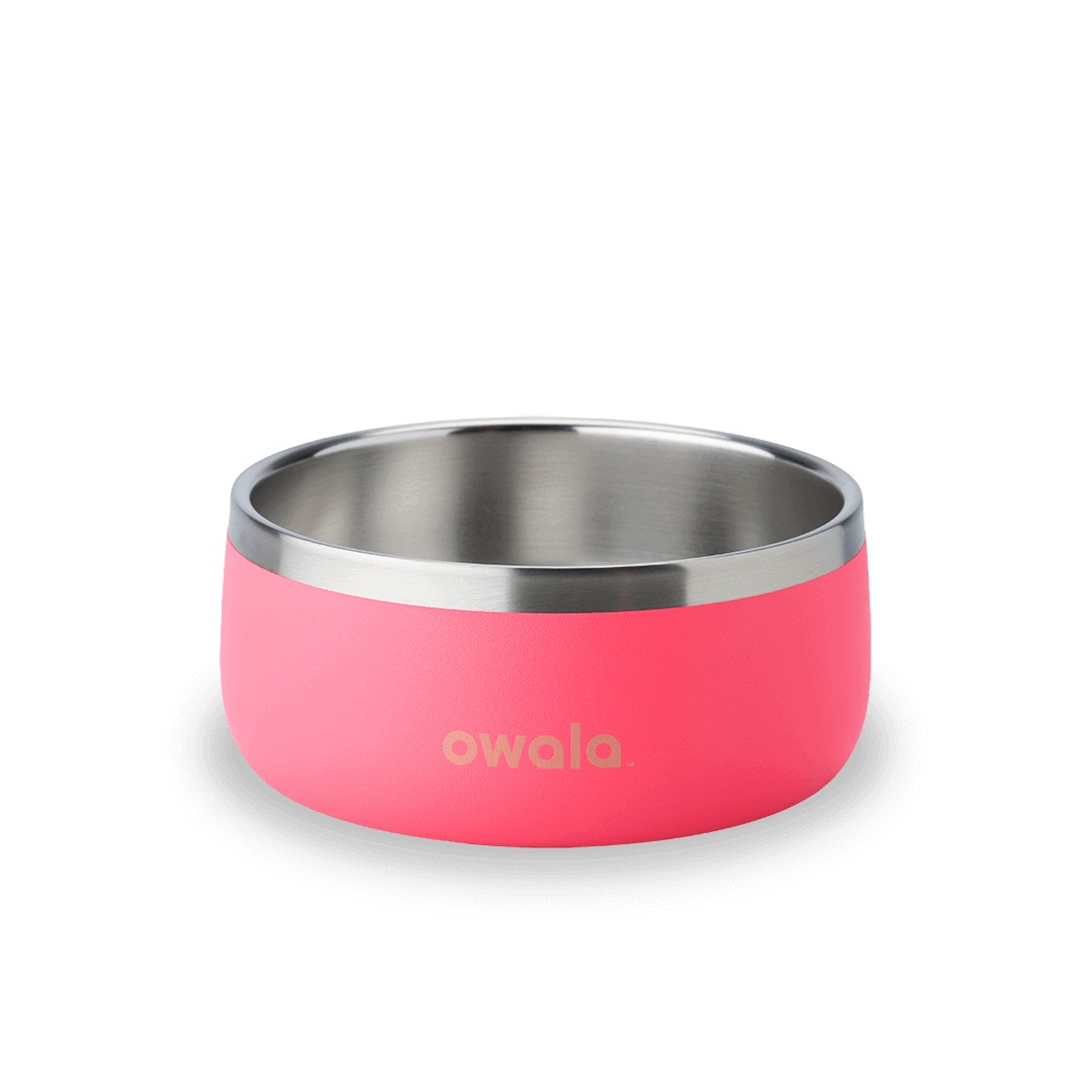 Pet Bowl (4W25)