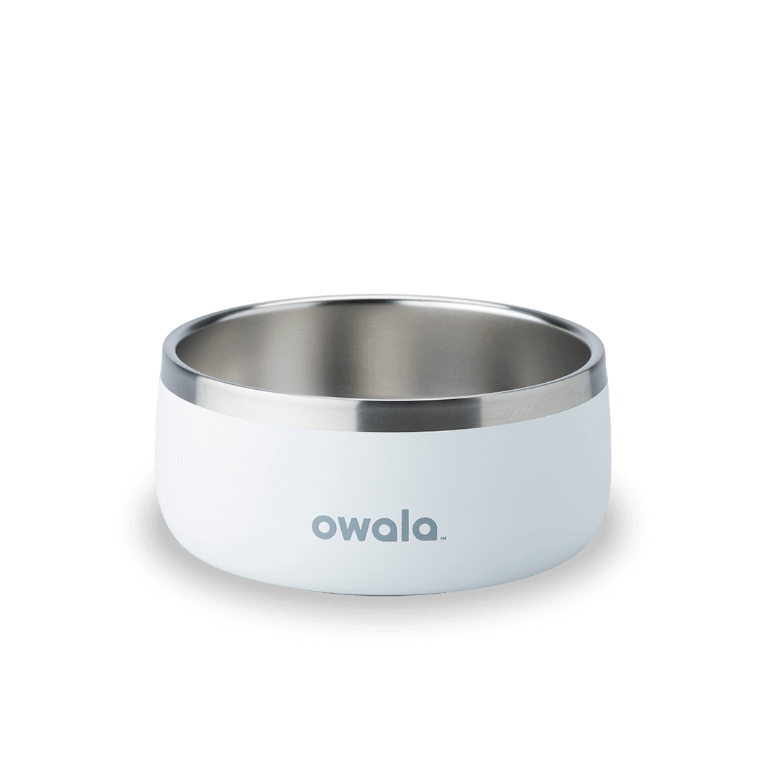Pet Bowl (4W25)