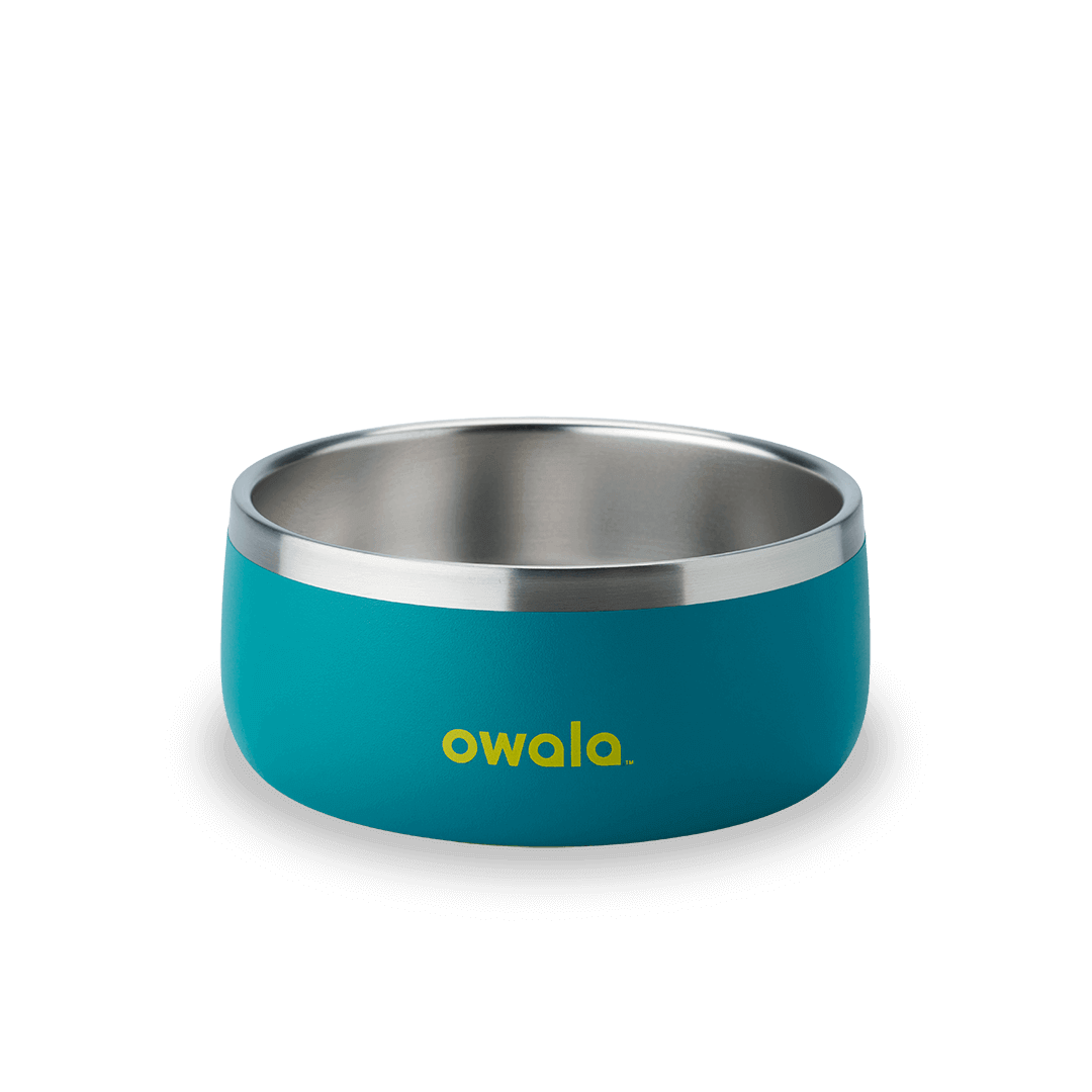 Pet Bowl (4W25)