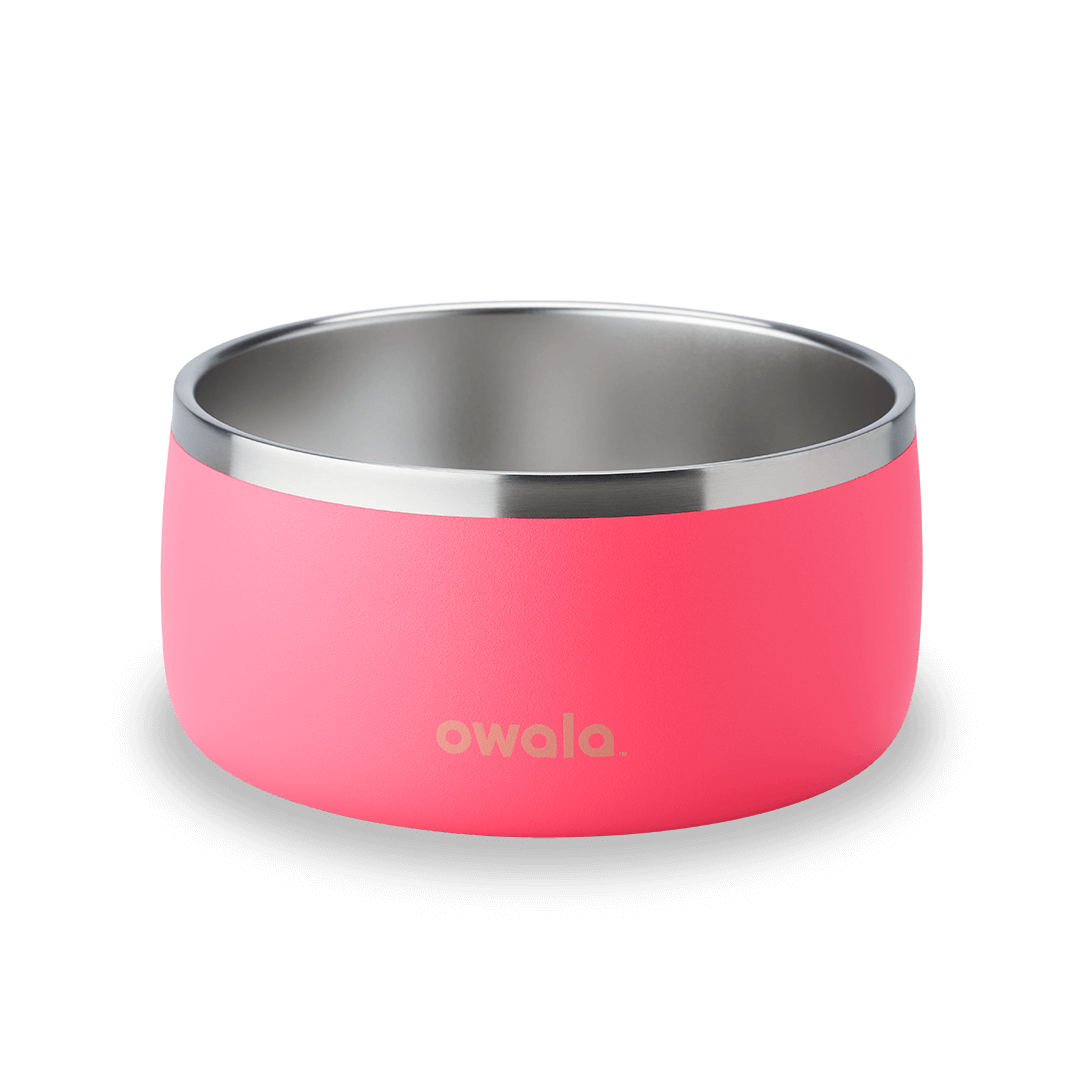 Pet Bowl (4W25)