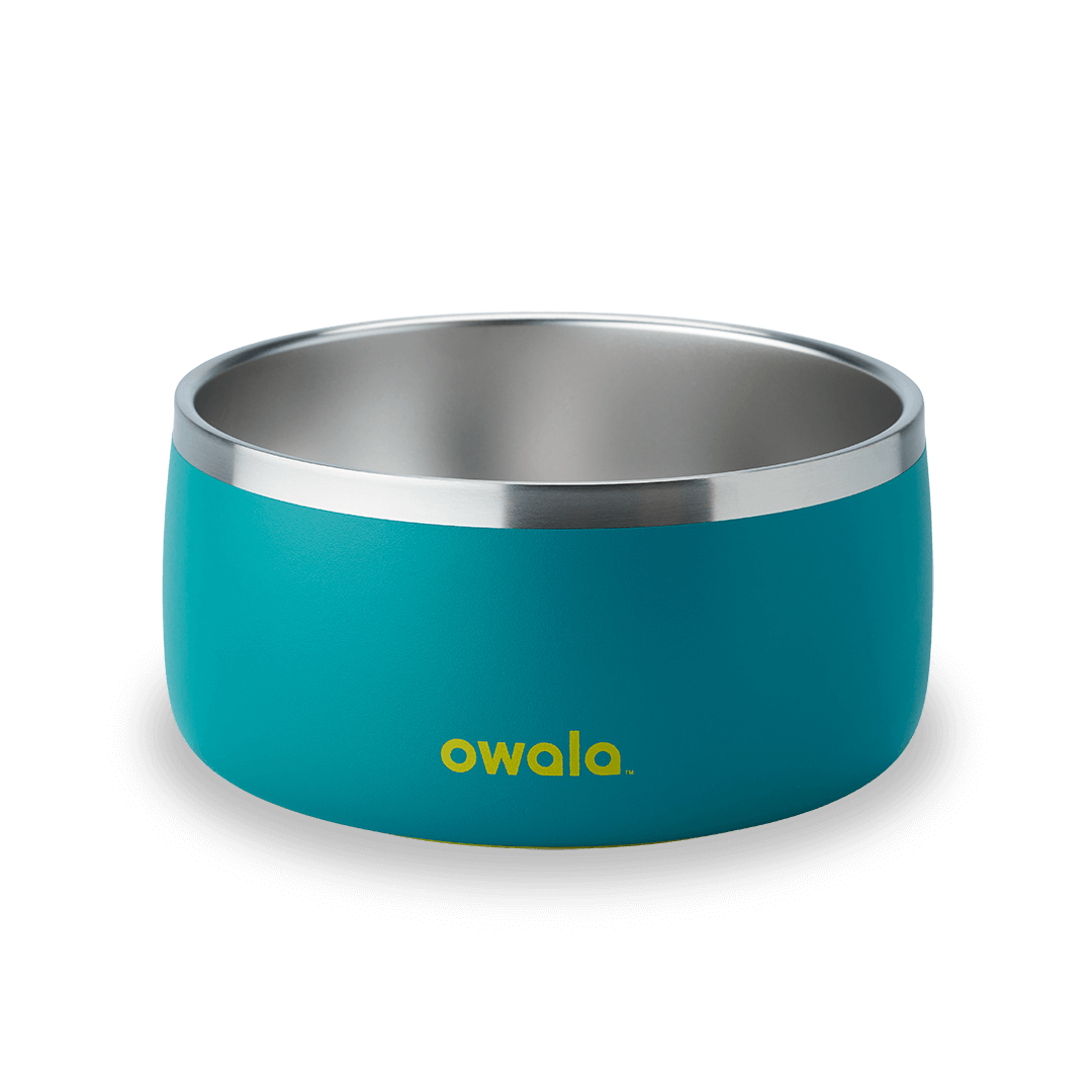 Pet Bowl (4W25)