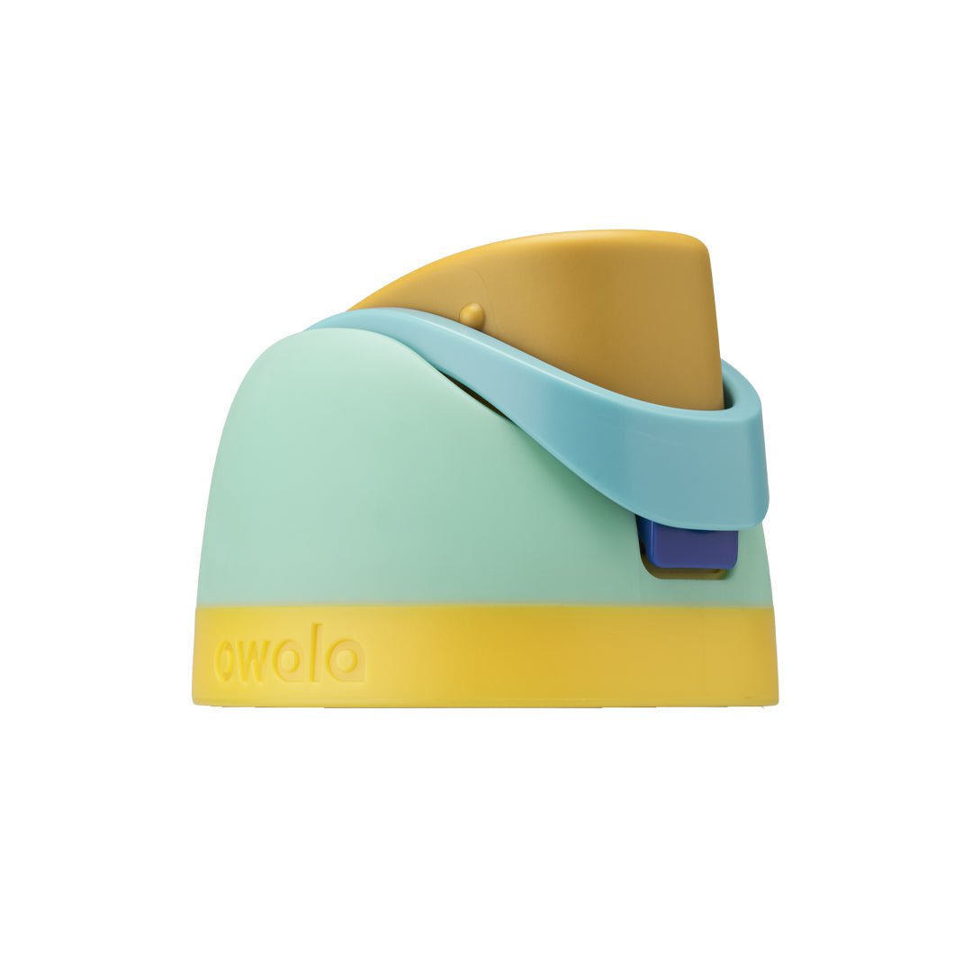 Replacement Lids (6N8J)